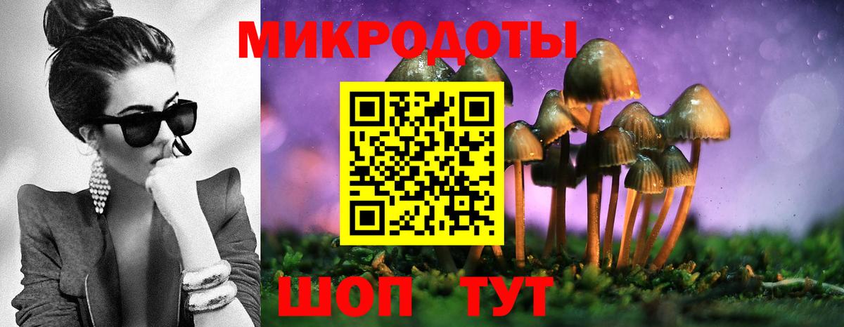 Псилоцибиновые грибы GOLDEN TEACHER Благодарный