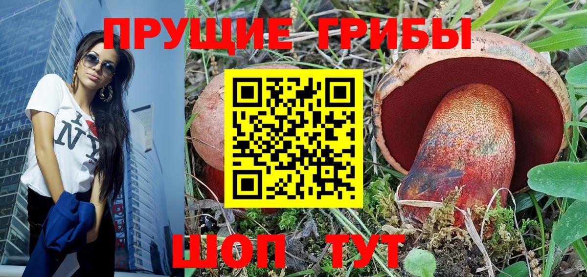 Псилоцибиновые грибы мухоморы  Вход с VPN  купить наркотики сайты  Псилоцибиновые грибы Psilocybine cubensis  Благодарный 